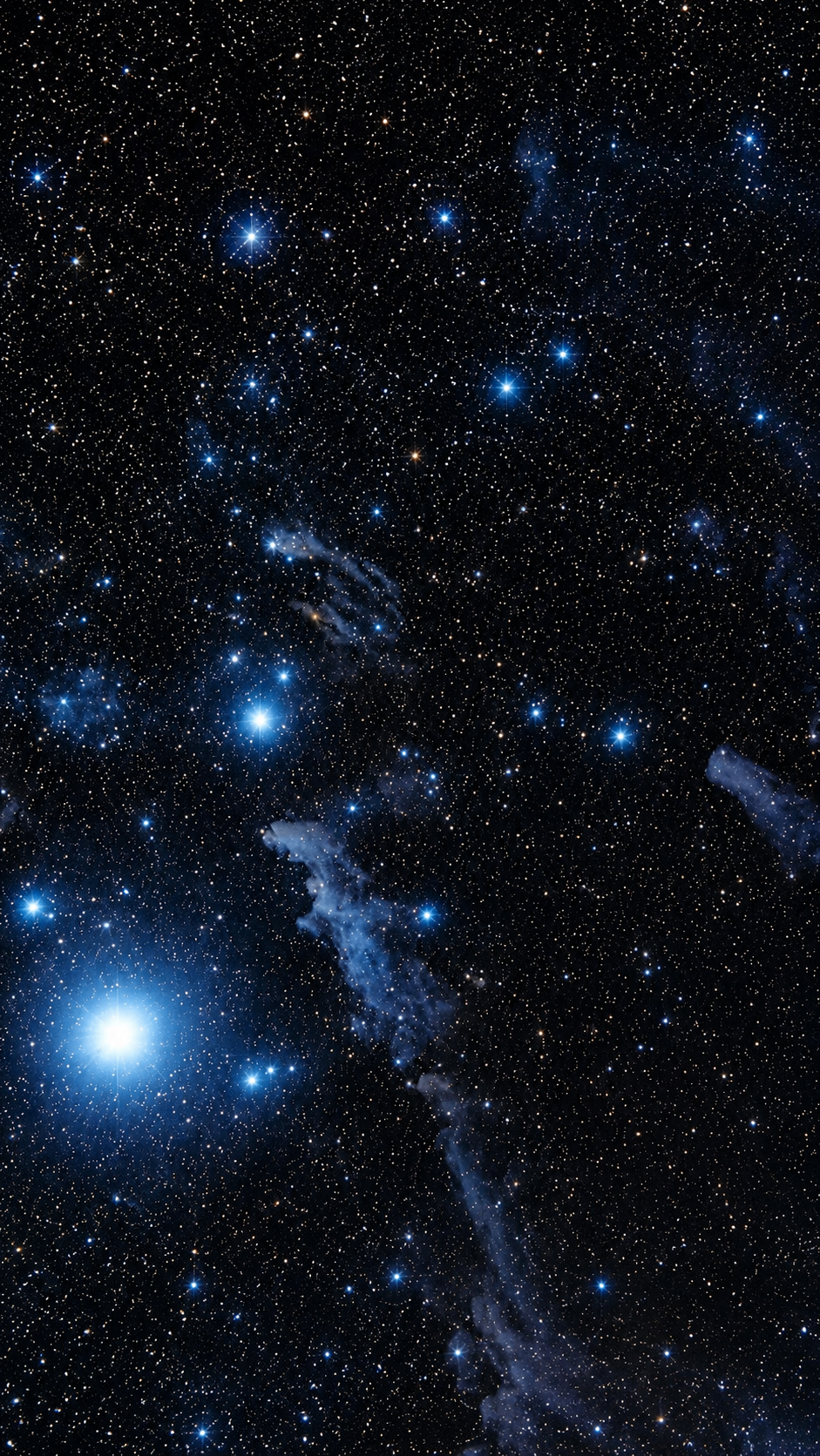Dense starfield over the Egyptian desert night sky